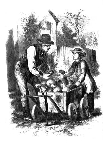 Hurrah for the
squash-peddler Hurrah for the
squash-peddler